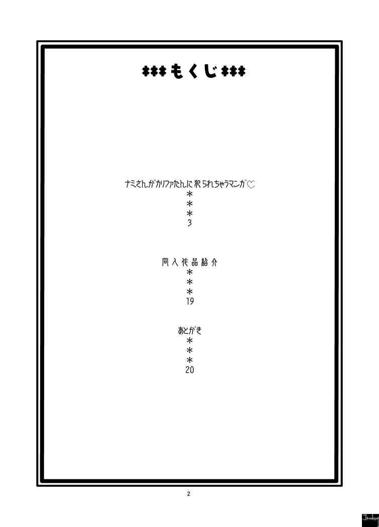 ナミの航海日誌 (裏) 3ページ