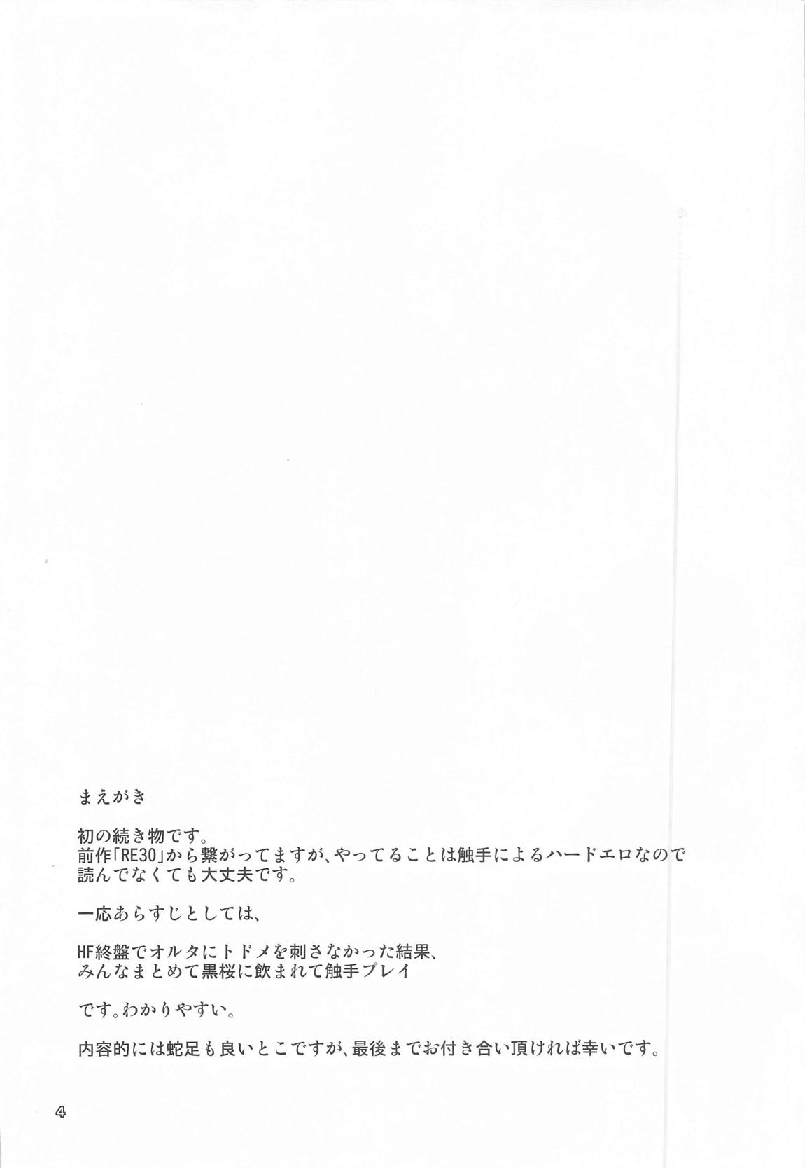 RE31 3ページ