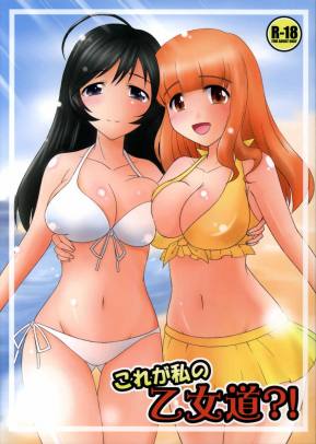 これが私の乙女道?!