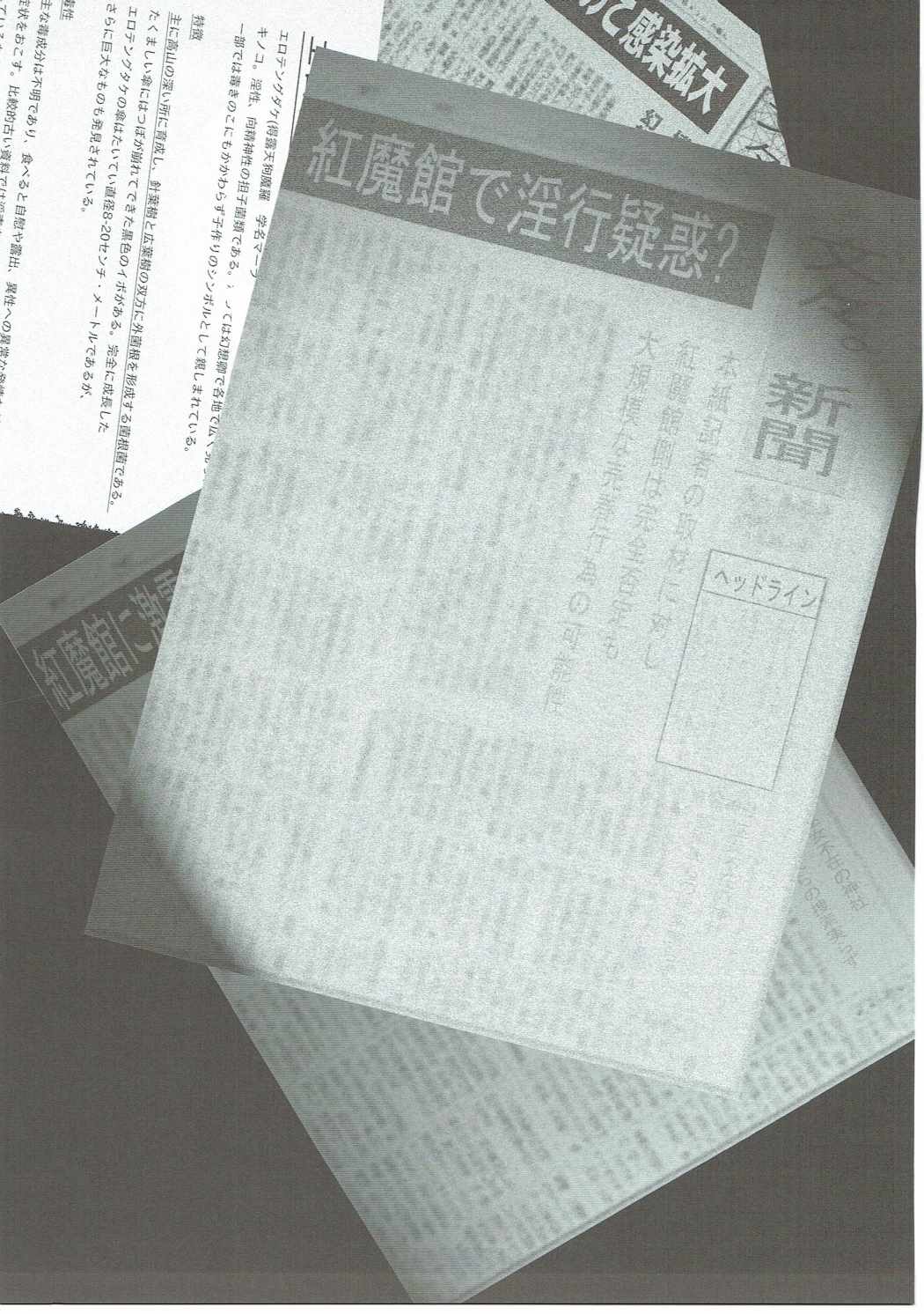 幻想郷性風俗事情 紅魔館編 2ページ