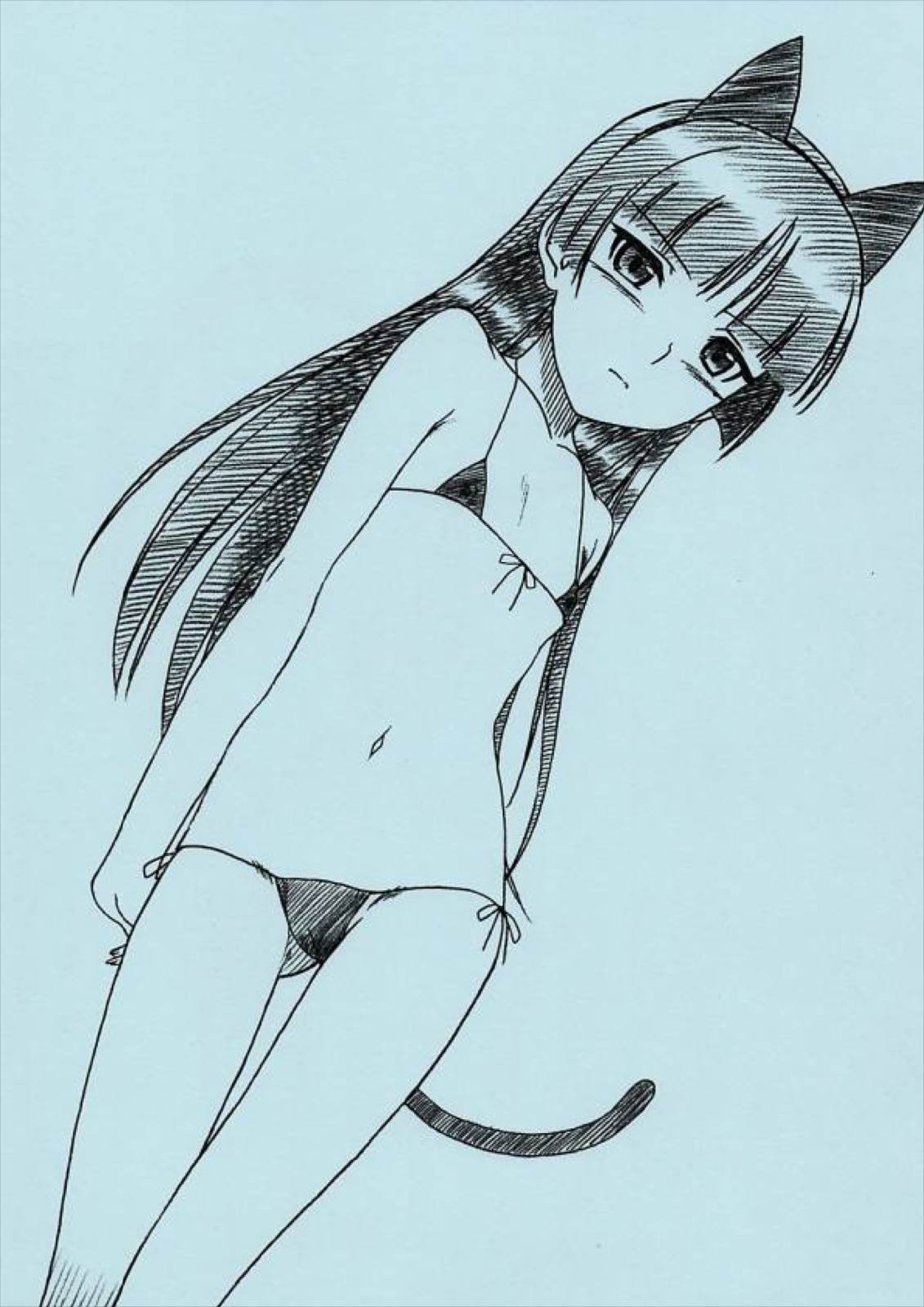 黒猫さんほんとうにあぶないよ。EX 3ページ