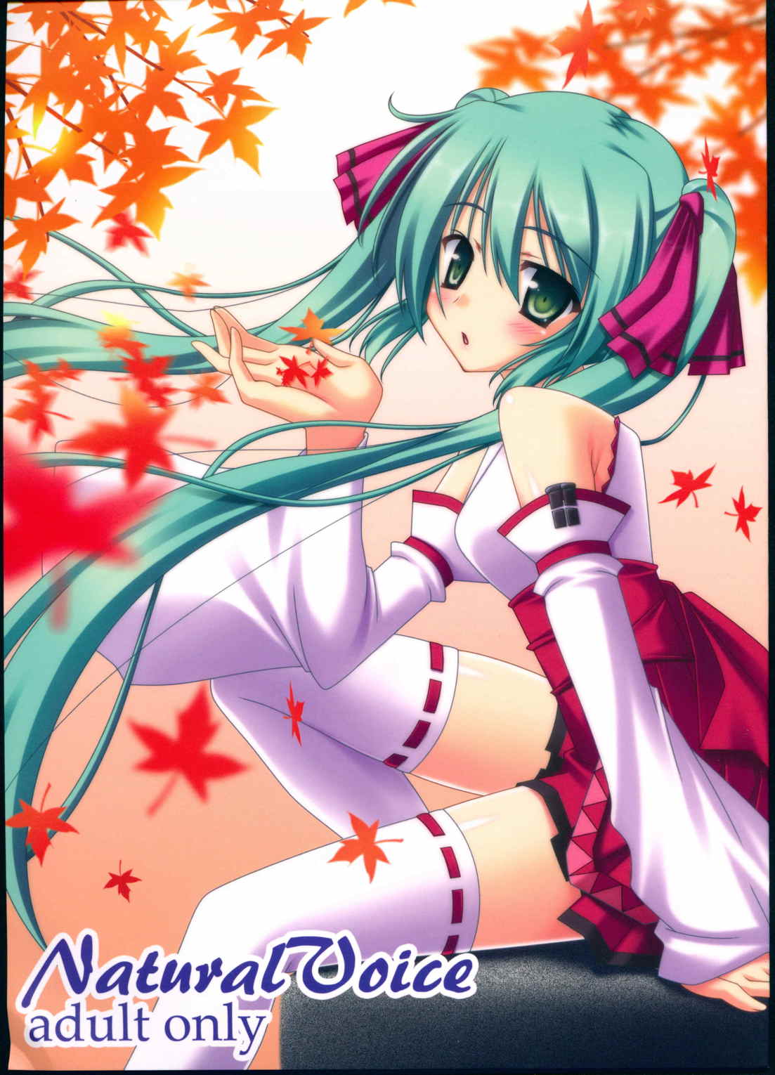 NaturalVoice 1ページ