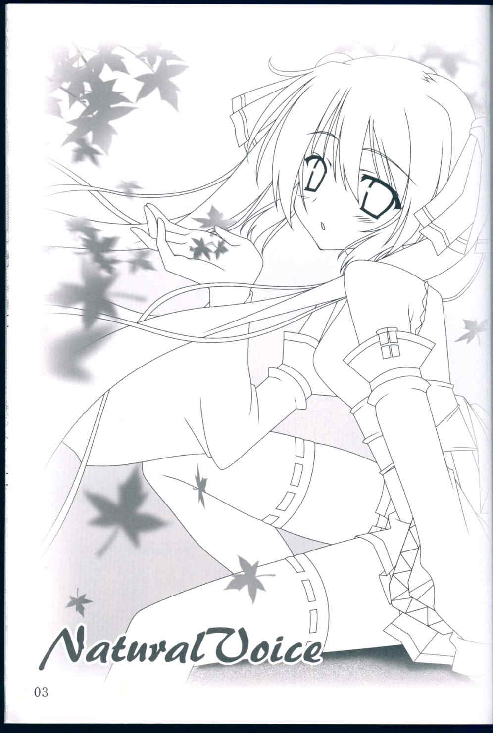 NaturalVoice 2ページ