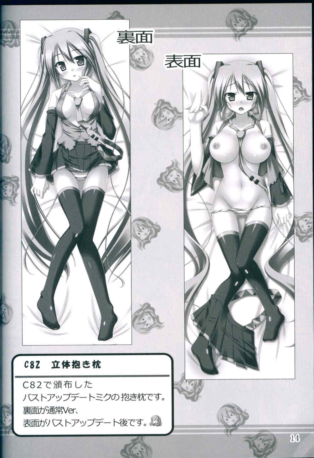 NaturalVoice 13ページ