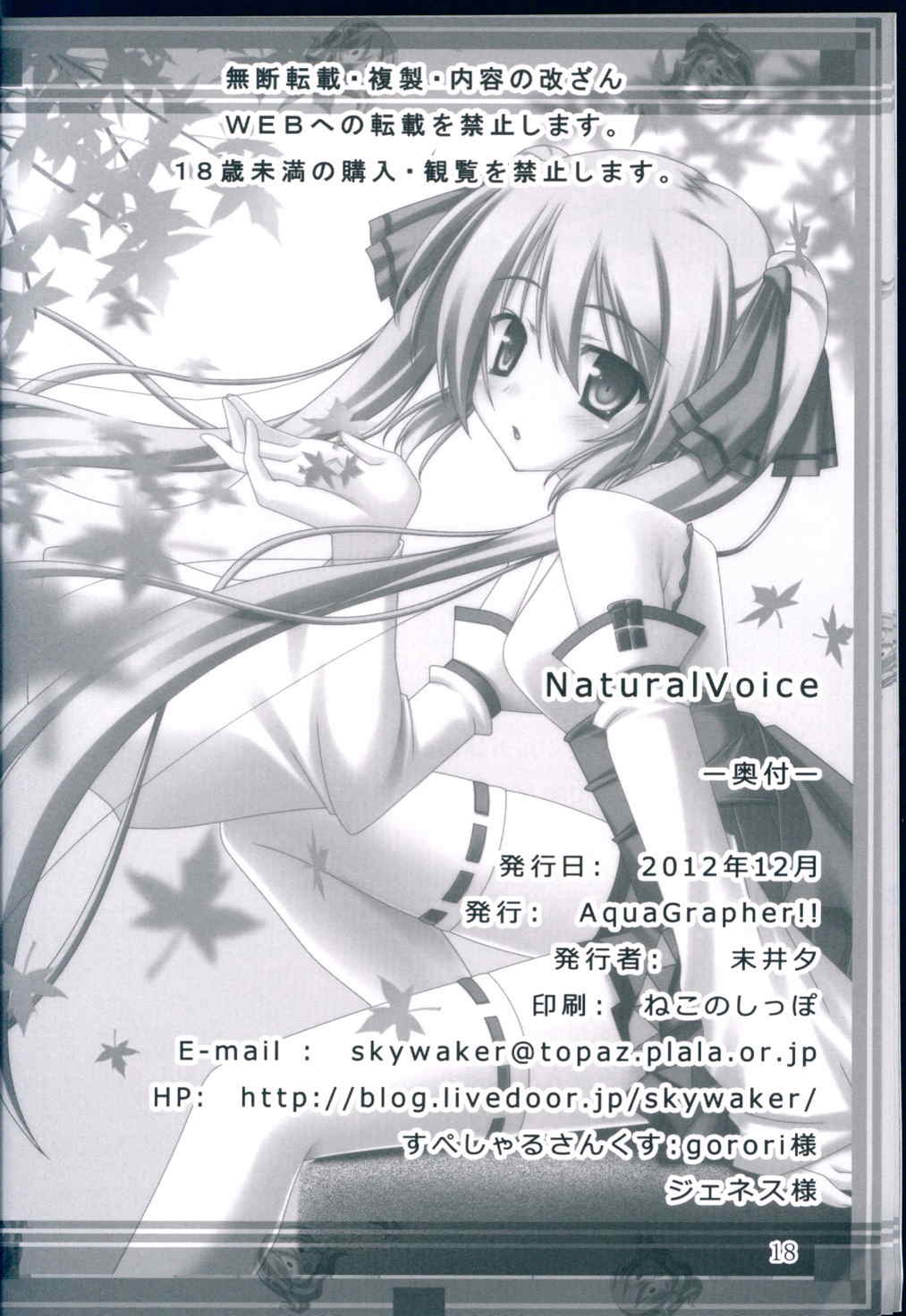 NaturalVoice 17ページ