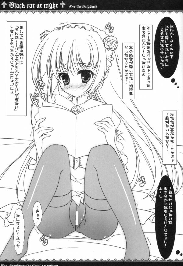 Black Cat at Night 2ページ