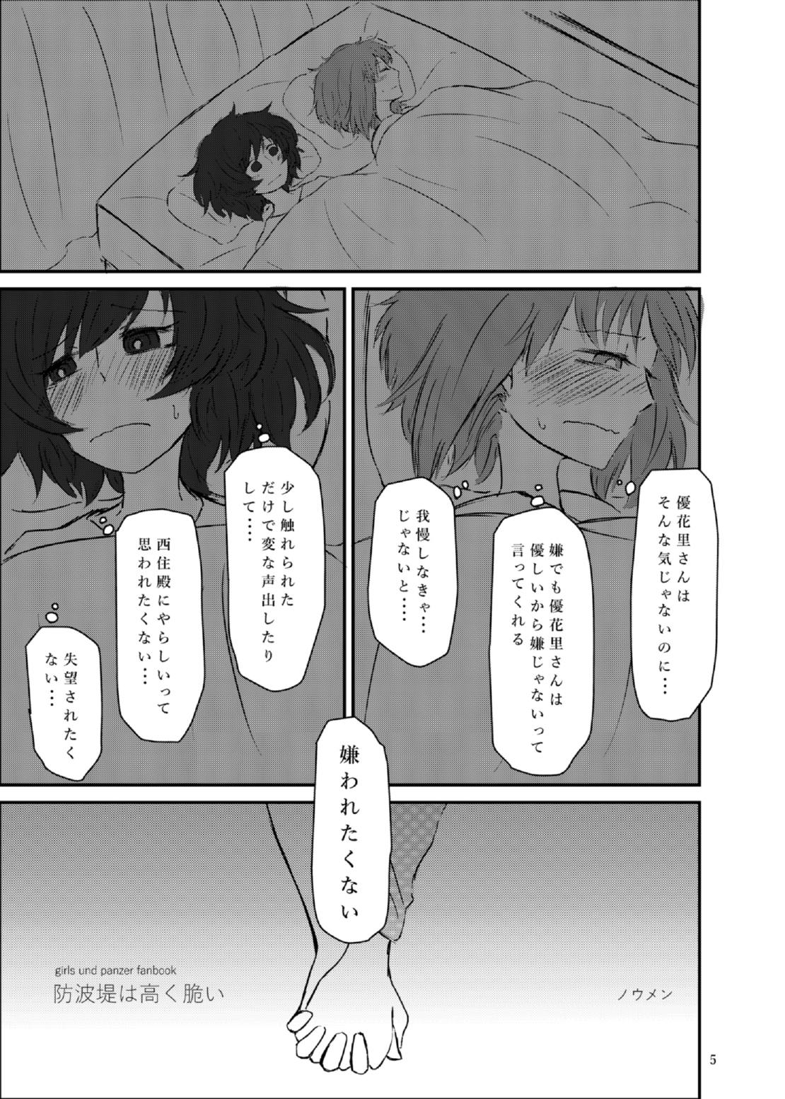 防波堤は高く脆い 4ページ