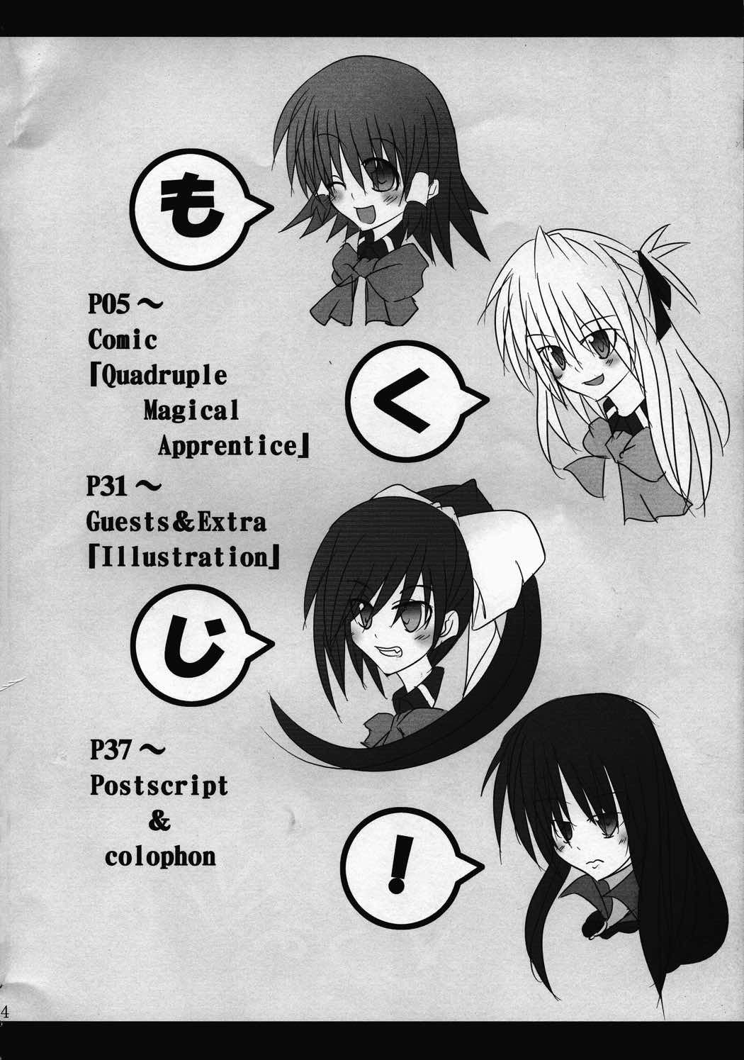 Quadruple Magical Apprentice 3ページ