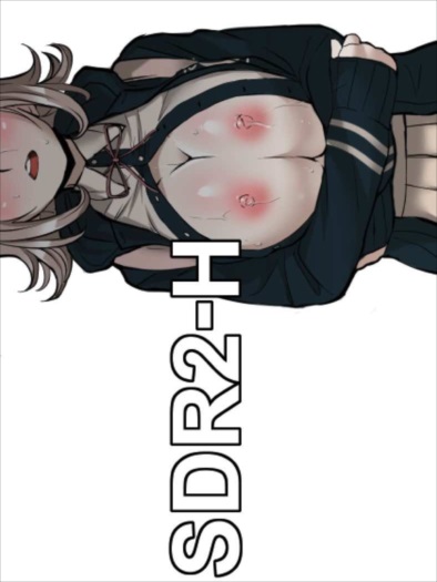 SDR2-H