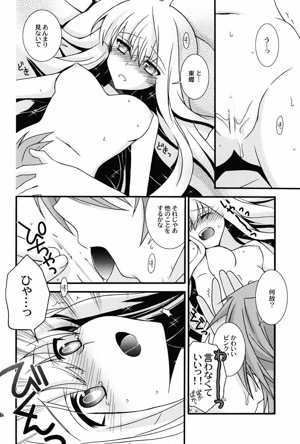kätzchen 13ページ