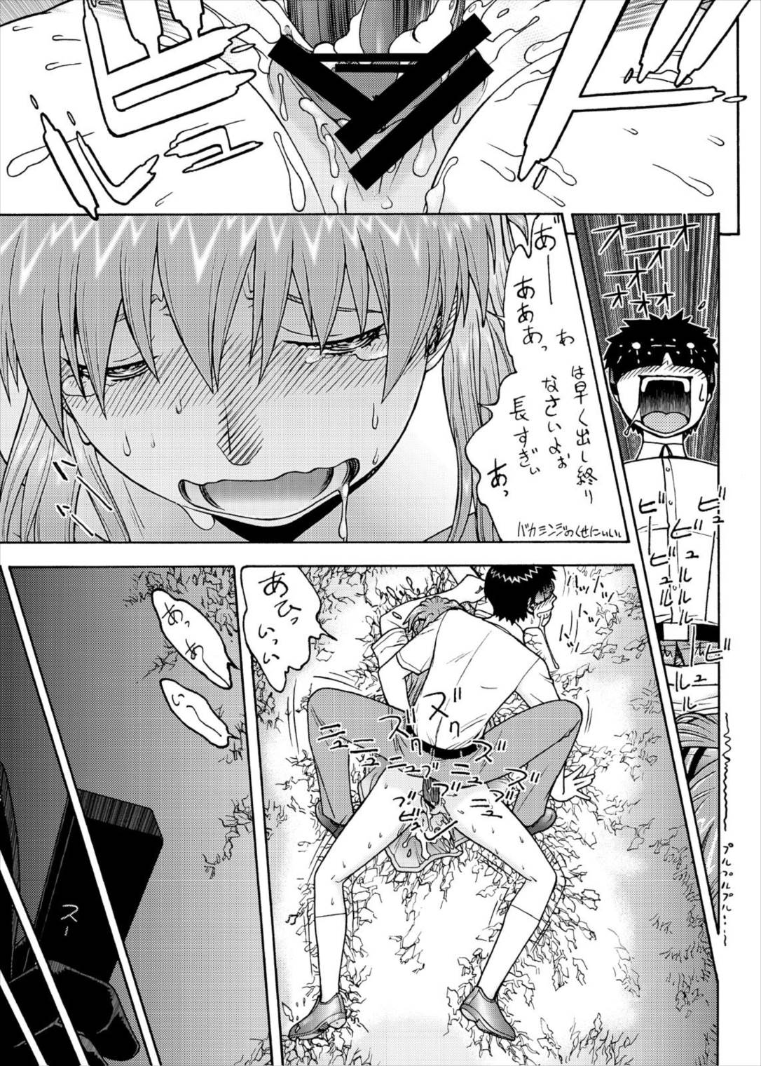 エヴァ集 19ページ