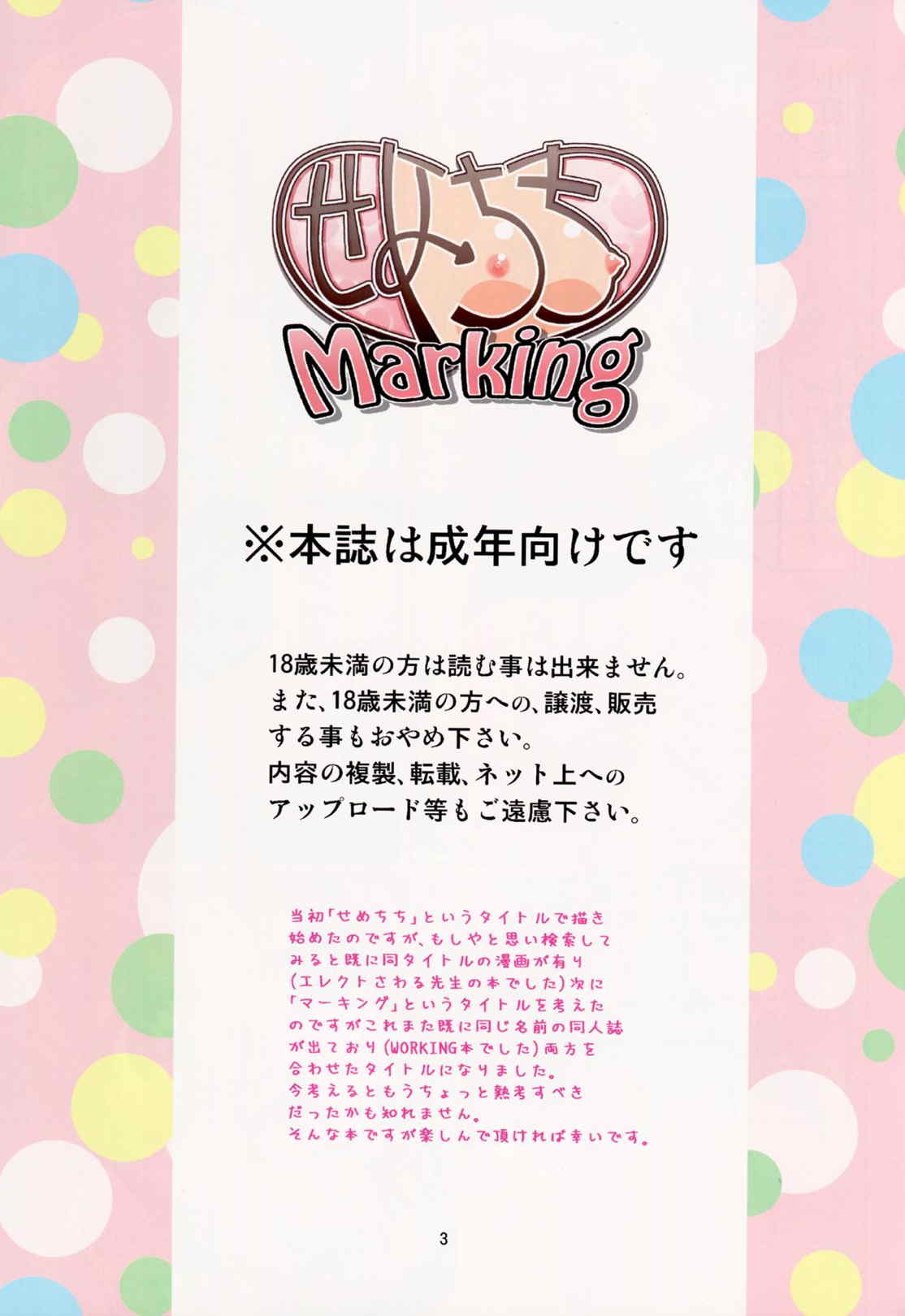 せめちちMarking 2ページ