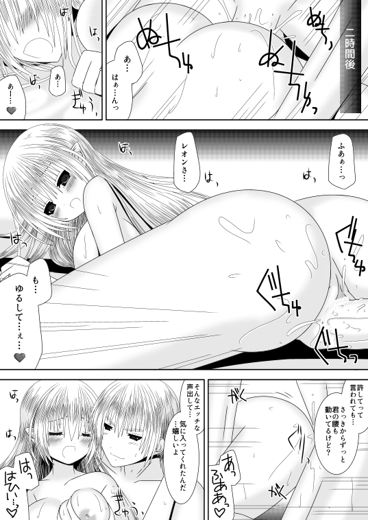 暗夜姉弟夜一夜 17ページ