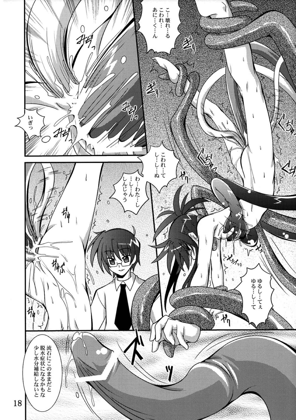 Mercurius 17ページ