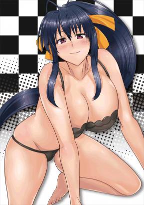 朱乃さんとD×D