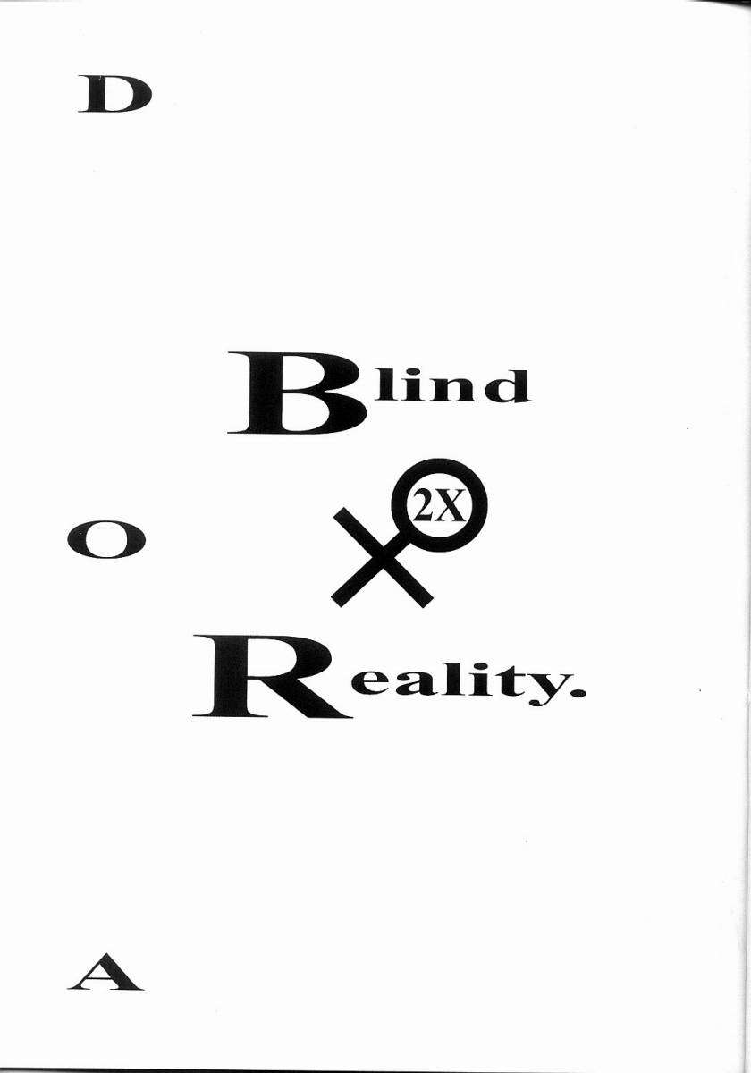 Blind to Reality 2X 2ページ