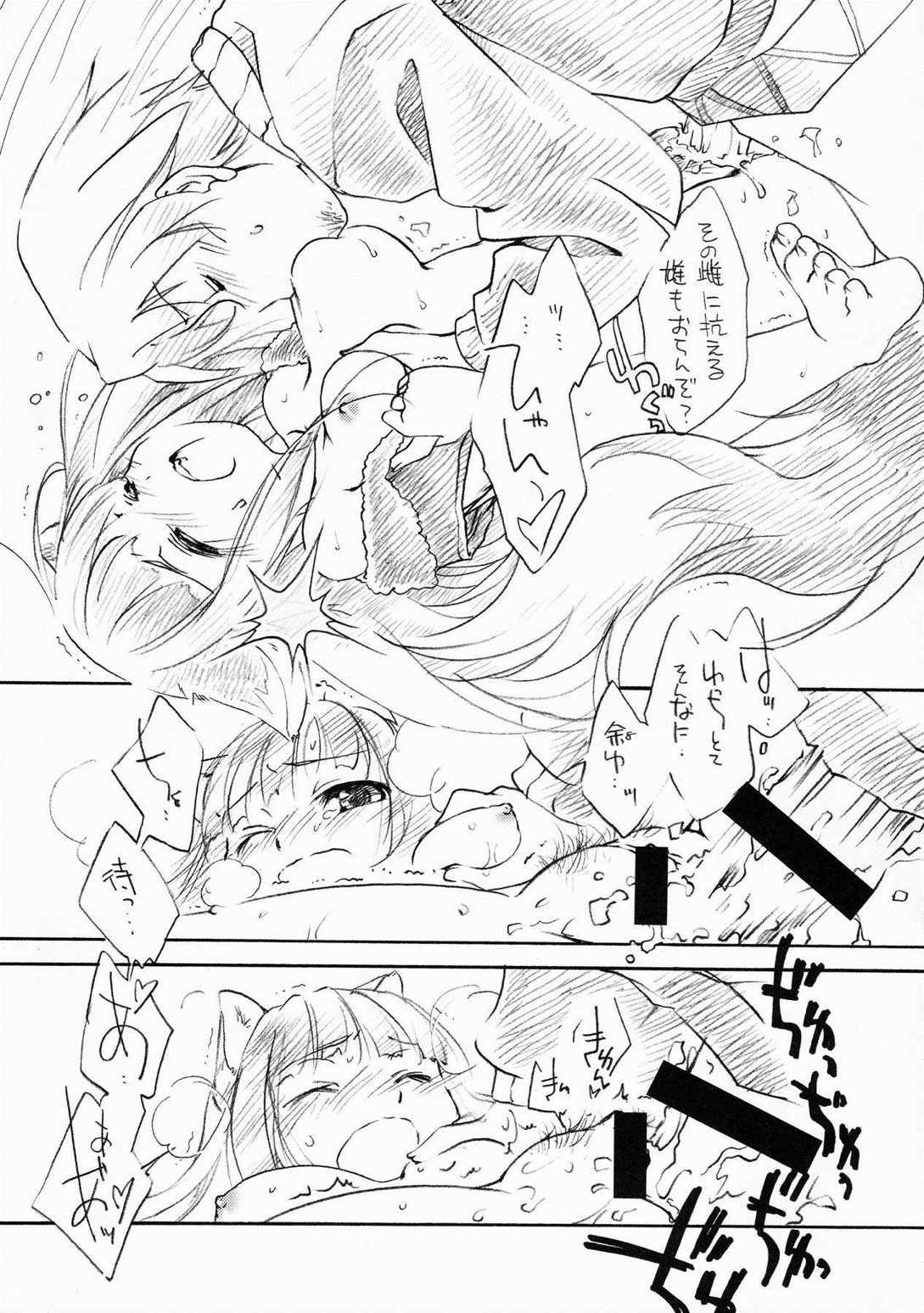 狼の総決算 12ページ