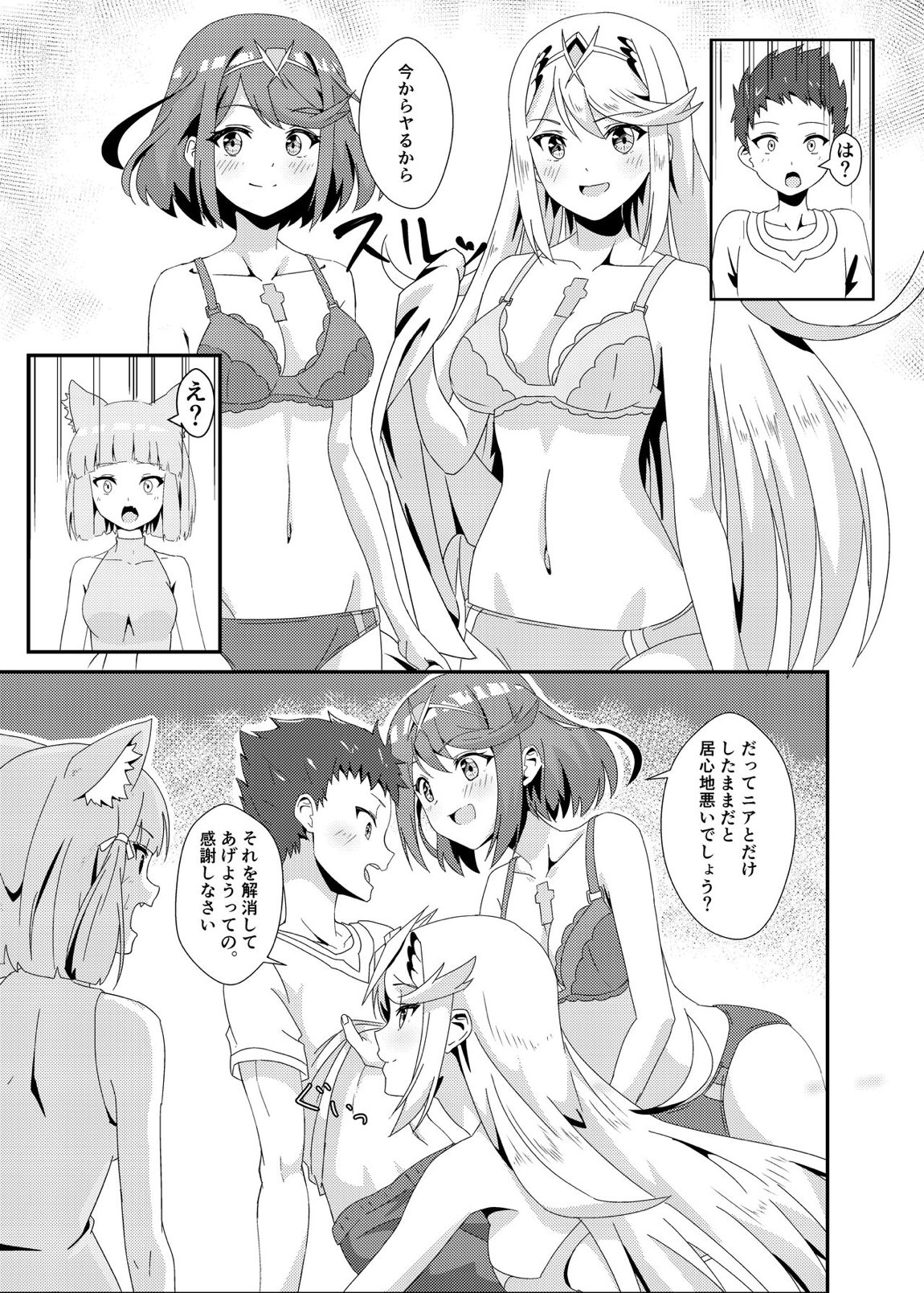 ゼノブレ2_にゃんにゃんニアちゃん2 10ページ