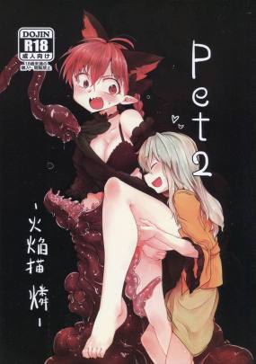 pet2~火焔猫 燐~