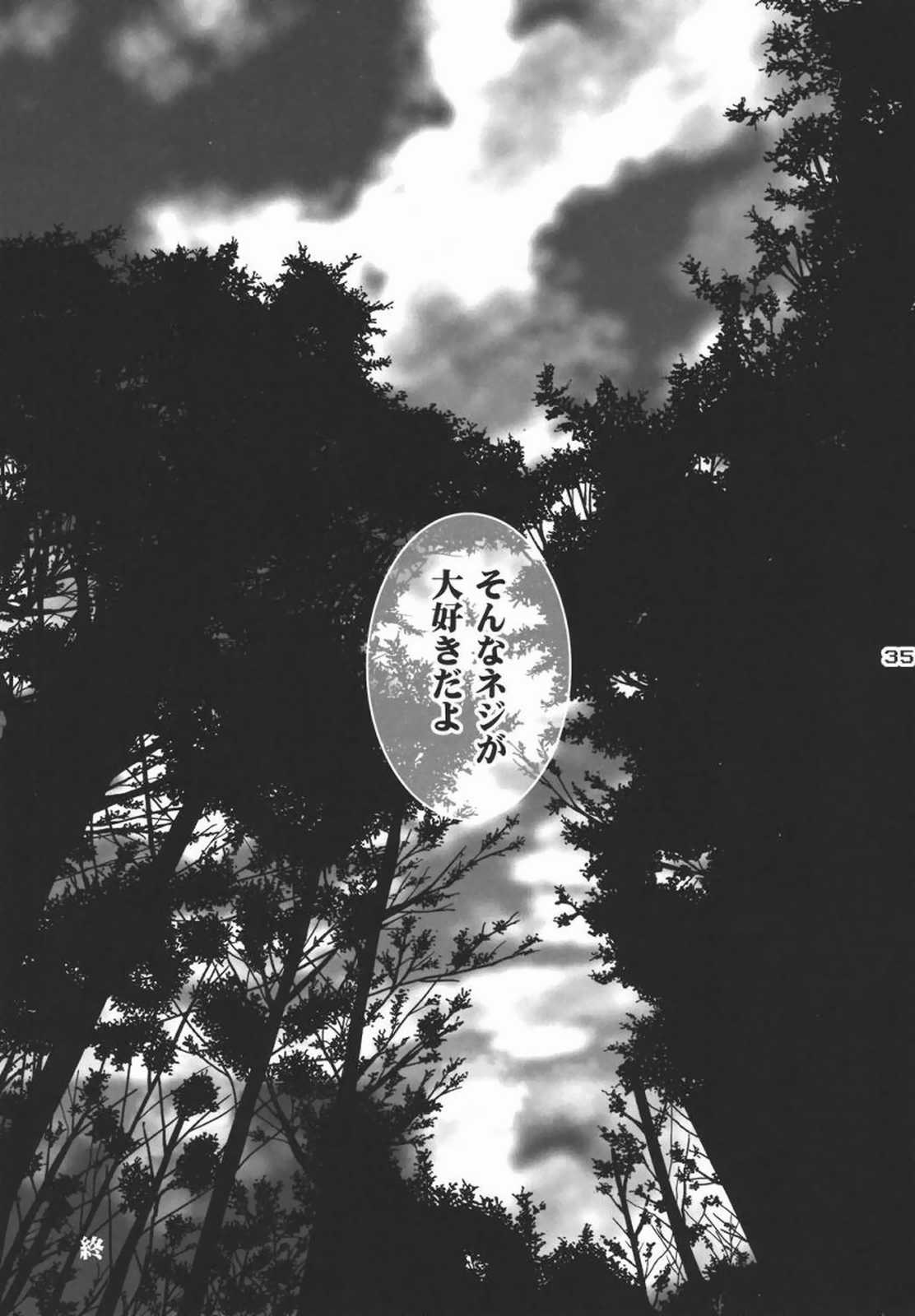 Ninja Girl’s Diary 34ページ