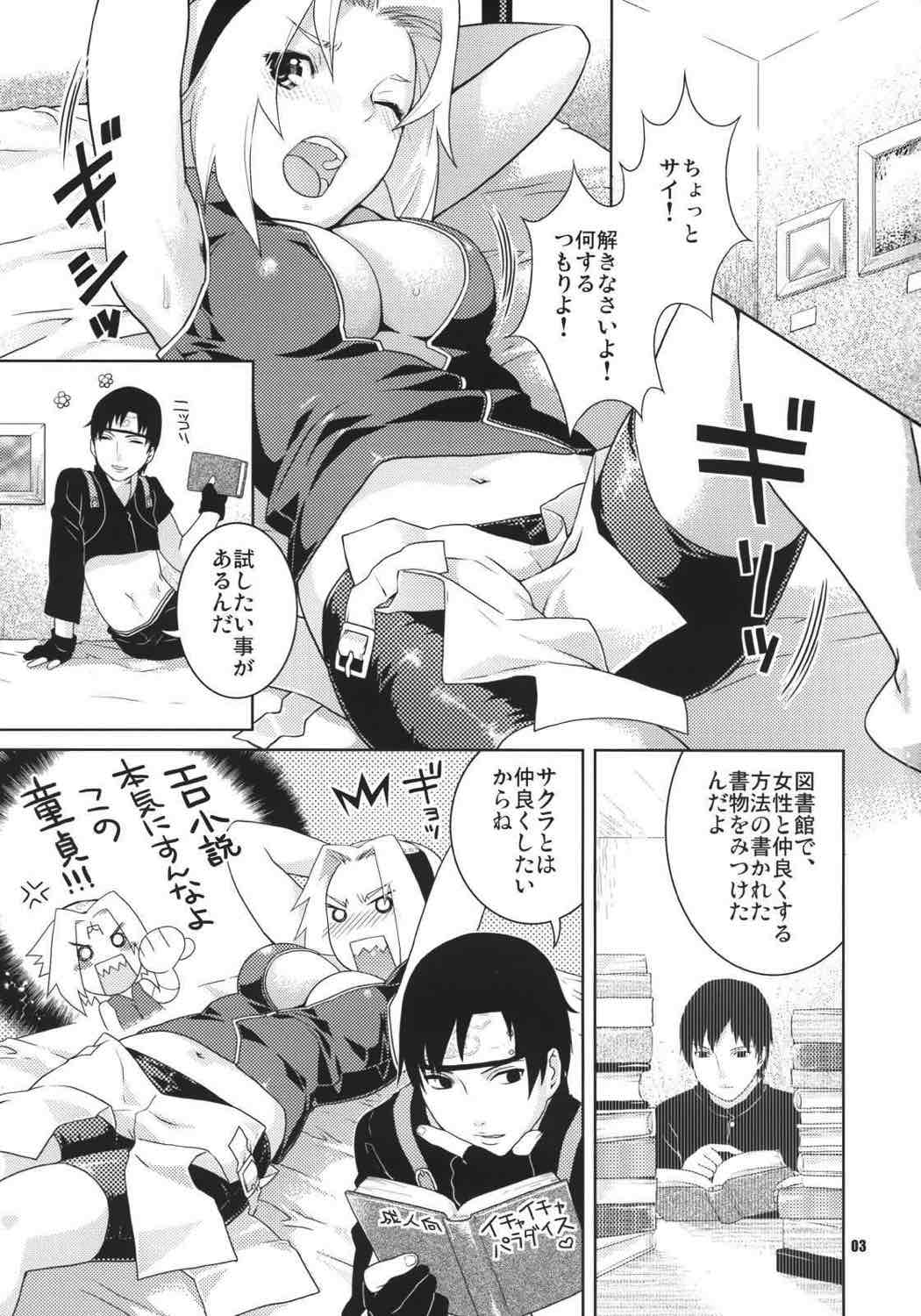 彩桜絵巻 2ページ