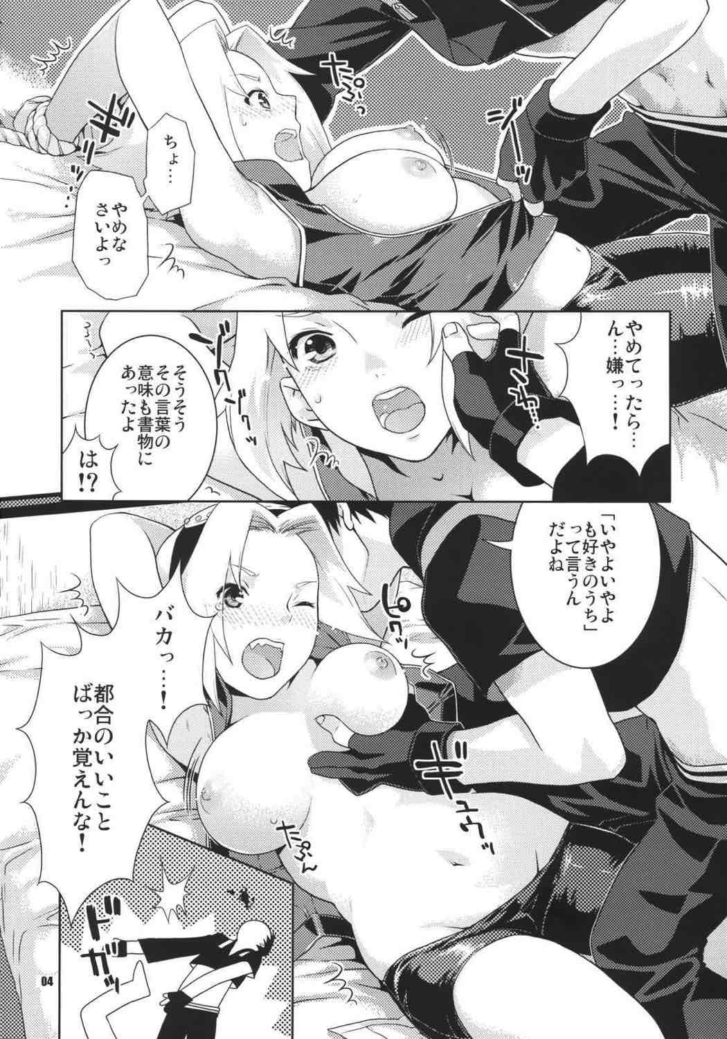 彩桜絵巻 3ページ