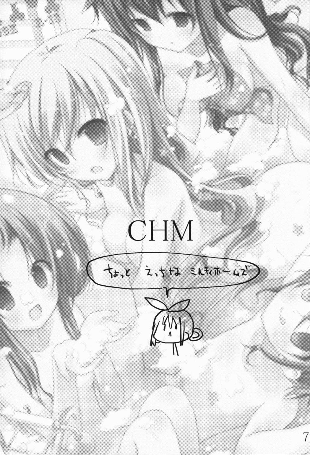CHM 6ページ