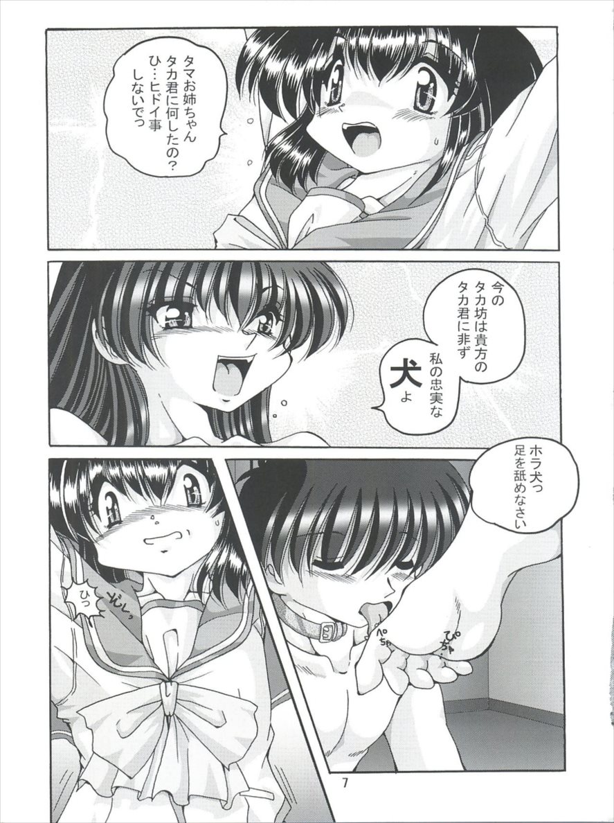 V-TIC36 6ページ