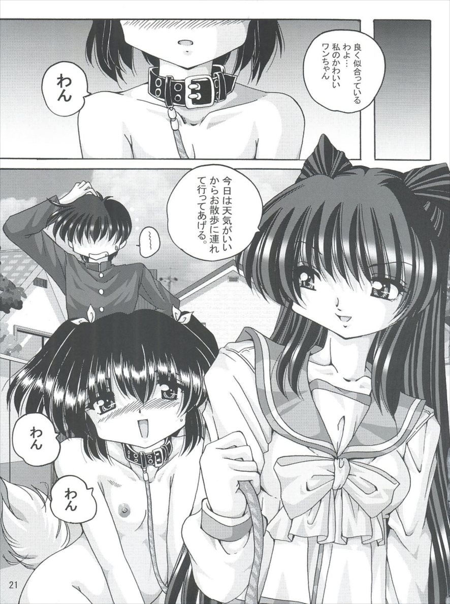 V-TIC36 20ページ
