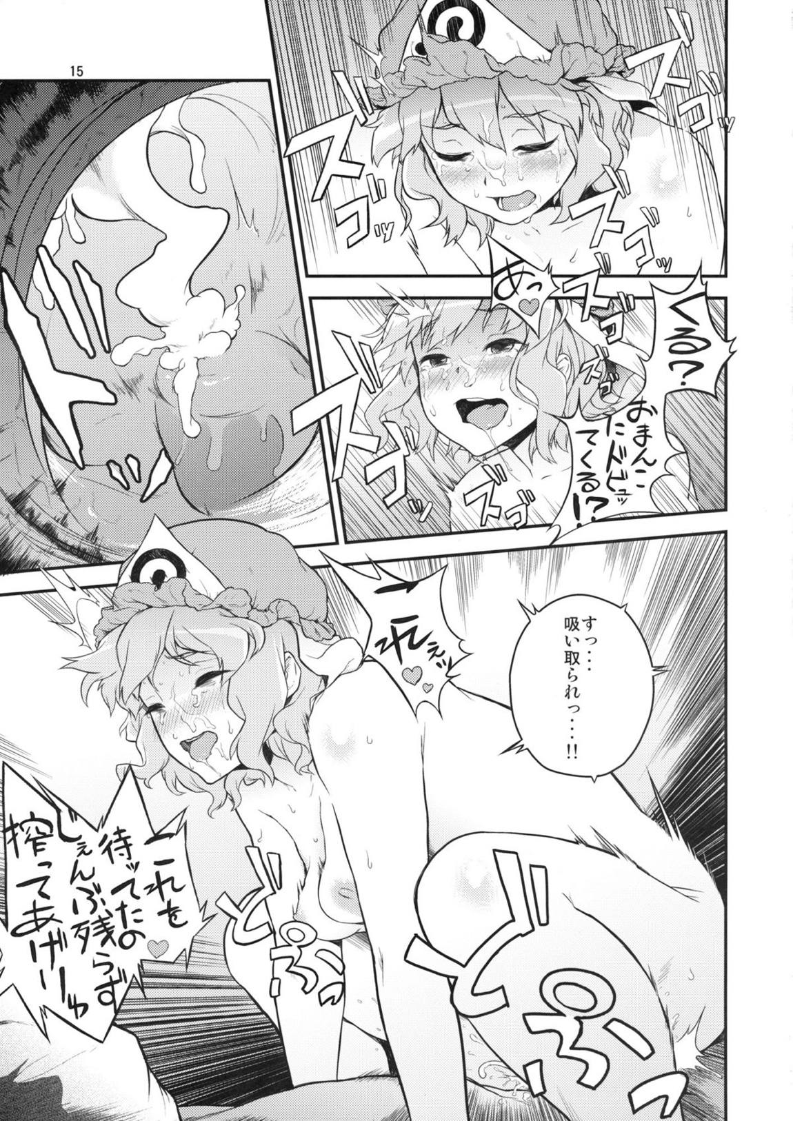 東方てれびさん 14ページ