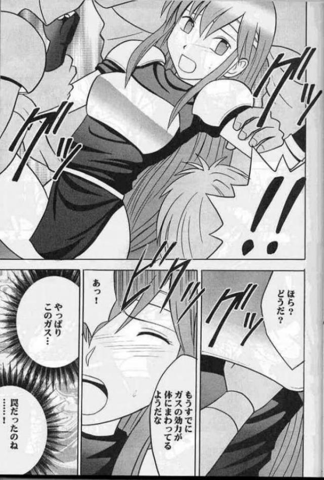 紋章のすべて 19ページ
