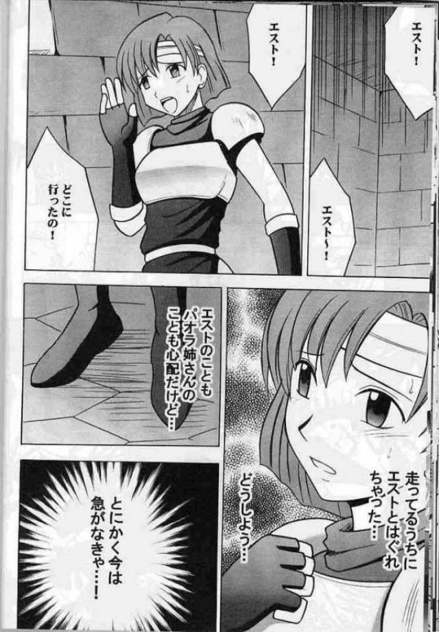 紋章のすべて 22ページ
