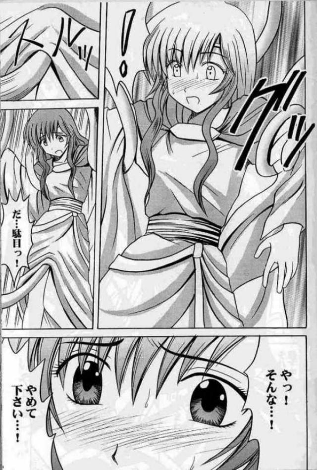 紋章のすべて 49ページ