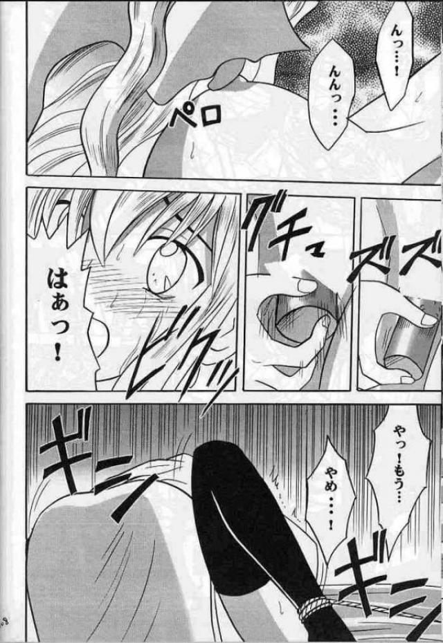 紋章のすべて 105ページ