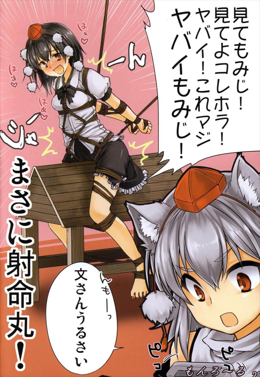 あやはたもみ姦合同 20ページ