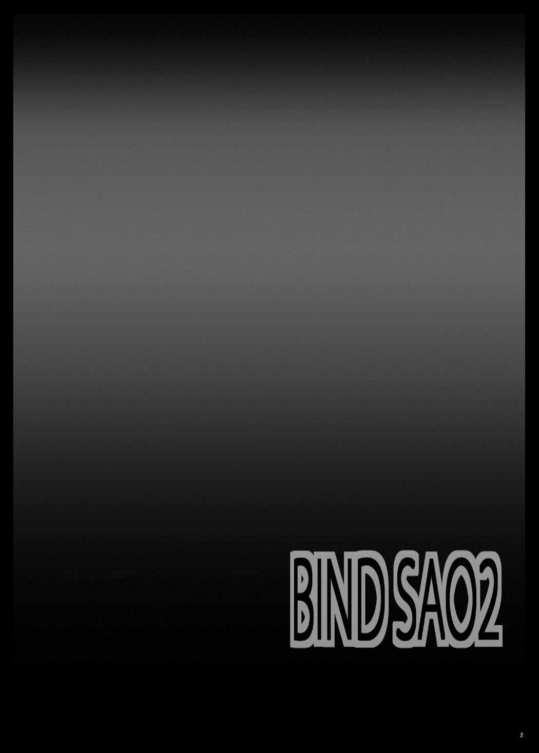 BindSAO2 3ページ