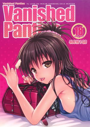 Vanished Panties