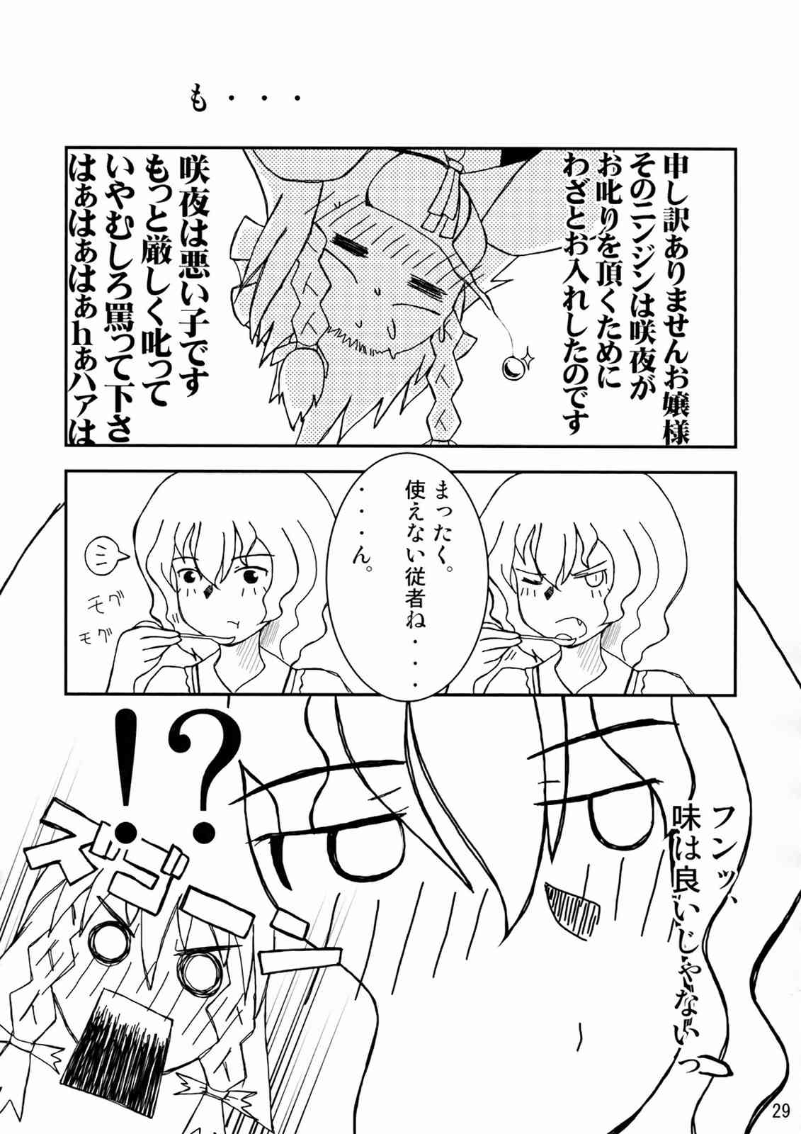 葡萄 28ページ