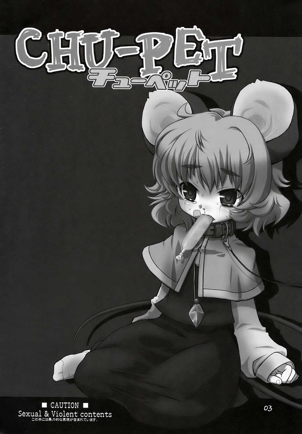 CHU-PET 2ページ