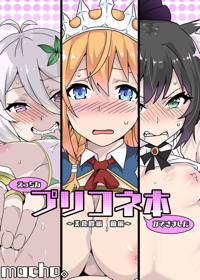 えっちなプリコネ本ができました~美食殿編 前編~