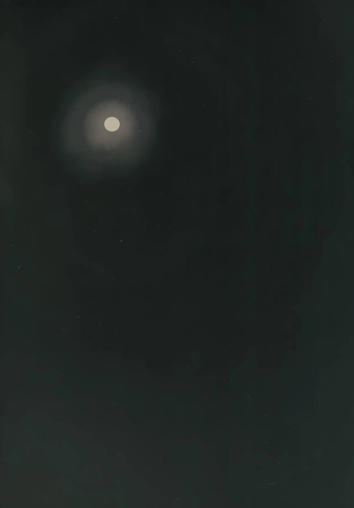 空を見てゐた顔を 46ページ