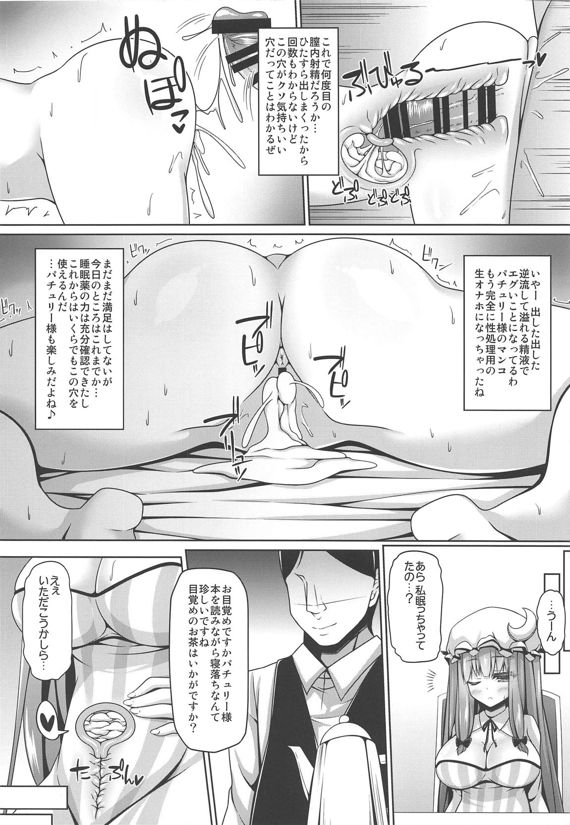 寝ているパチュリーには何をしてもよい 11ページ
