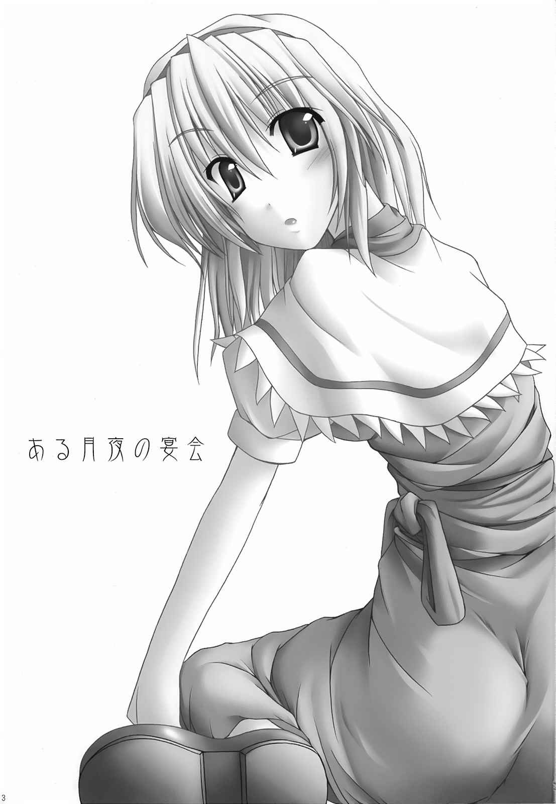 ある月夜の宴会 3ページ