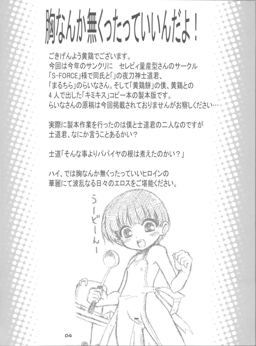 胸なんかなくたっていいんだよ 4ページ