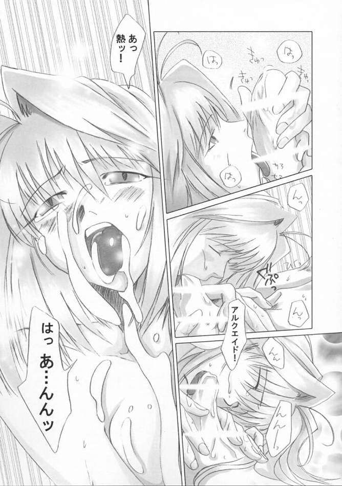 月華美人 8ページ