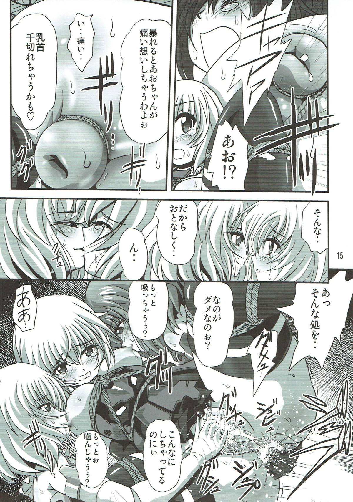 バインドアームズ２ 14ページ
