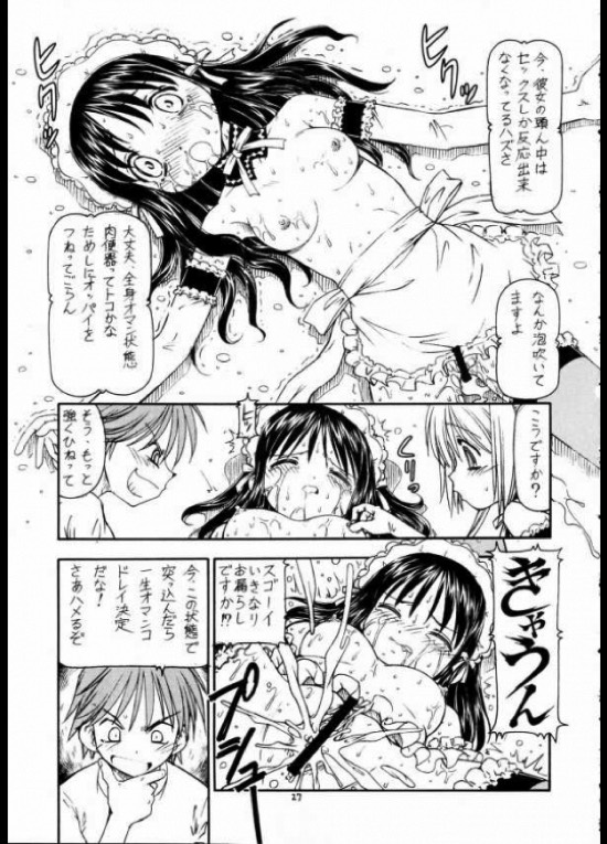 これが鬼畜なご主人様２ 27ページ