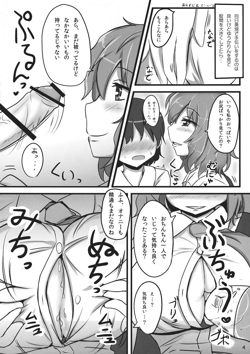 幽香ポイズニング 3ページ