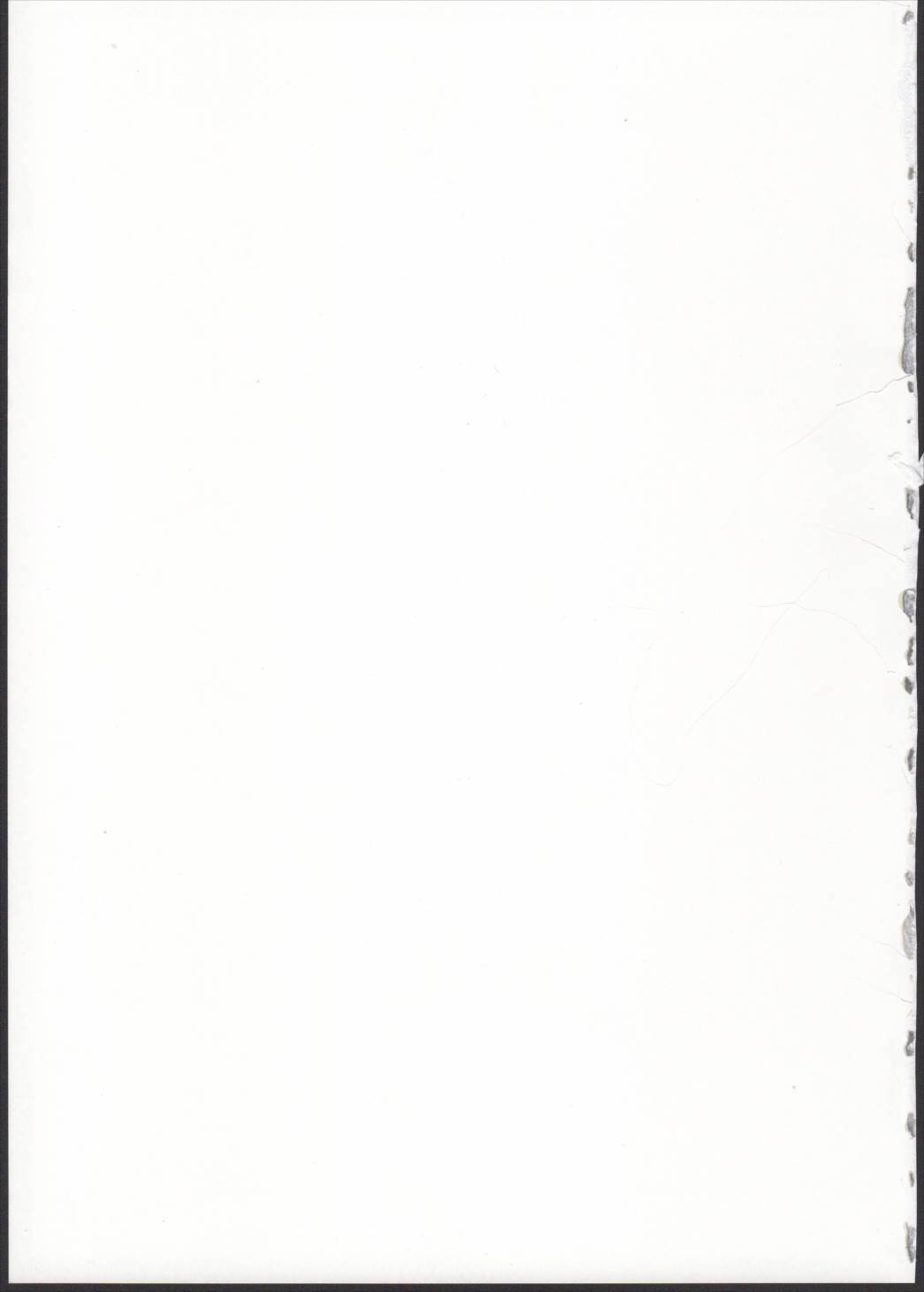 聖夜のデュエリスト 準備号 23ページ