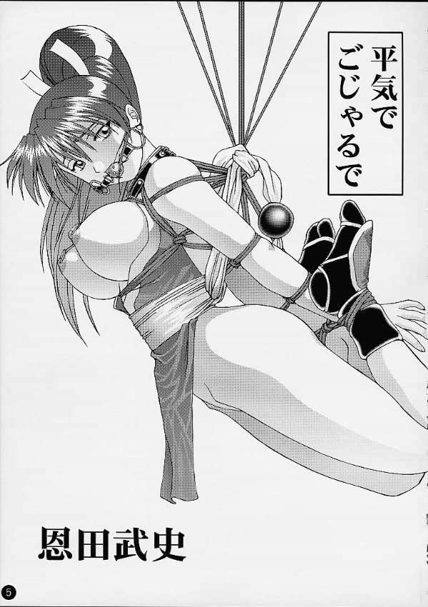 AGE OF NR4 2ページ